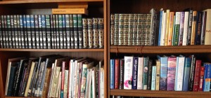 Library Book shelves