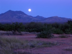 July Moonrise - 1